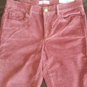 Loft Modern Skinny Velvet Pants